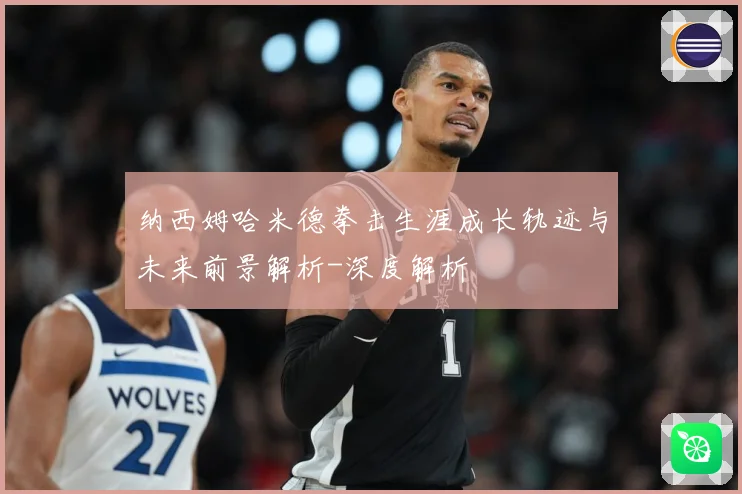 纳西姆哈米德拳击生涯成长轨迹与未来前景解析-深度解析